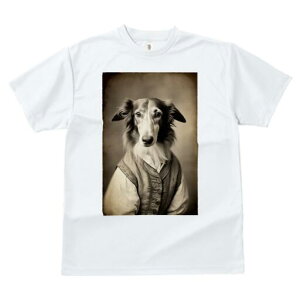 {]C TVc fB[X t@  t  vg JWA 킢 lԗp h ̃fUC ʔ AeB[N {]C g Be[W 