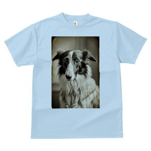 {]C TVc fB[X t@  t  vg JWA 킢 lԗp h ̃fUC ʔ {]C