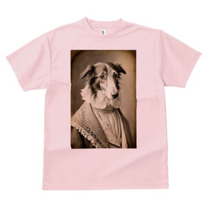 {]C TVc fB[X t@  t  vg JWA 킢 lԗp h ̃fUC ʔ ё {]C [X t