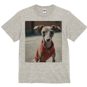 C^AO[nEh TVc fB[X t@  t  vg JWA 킢 lԗp h ̃fUC ʔ Z[^[ C^AO[nEh 