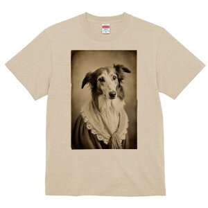 {]C TVc fB[X t@  t  vg JWA 킢 lԗp h ̃fUC ʔ hX {]C [X