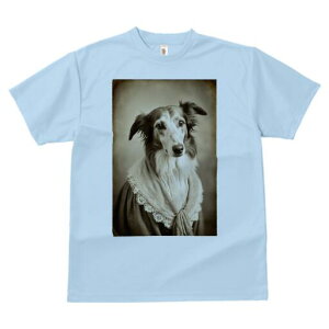 {]C TVc fB[X t@  t  vg JWA 킢 lԗp h ̃fUC ʔ hX {]C [X