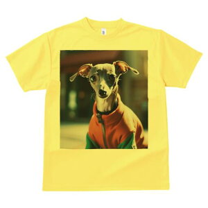 C^AO[nEh TVc fB[X t@  t  vg JWA 킢 lԗp h ̃fUC ʔ WPbg C^AO[nEh 