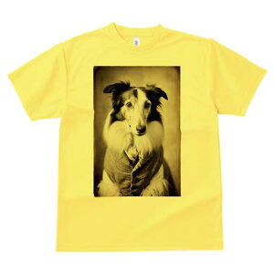 {]C TVc fB[X t@  t  vg JWA 킢 lԗp h ̃fUC ʔ {]C