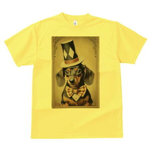 _bNXth TVc fB[X t@  t  vg JWA 킢 lԗp h ̃fUC ʔ Xq _bNXth lN^C ^LV[h