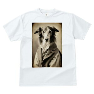 {]C TVc fB[X t@  t  vg JWA 킢 lԗp h ̃fUC ʔ AeB[N {]C g Be[W ё