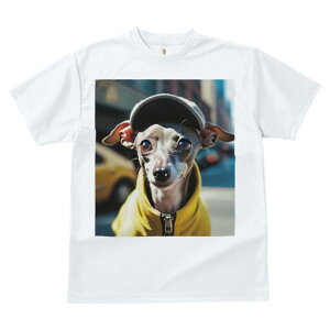 C^AO[nEh TVc fB[X t@  t  vg JWA 킢 lԗp h ̃fUC ʔ Xq C^AO[nEh p[J[ ^