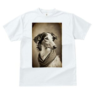 {]C TVc fB[X t@  t  vg JWA 킢 lԗp h ̃fUC ʔ AeB[N {]C g Be[W GKg