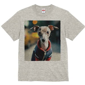 C^AO[nEh TVc fB[X t@  t  vg JWA 킢 lԗp h ̃fUC ʔ WPbg C^AO[nEh 