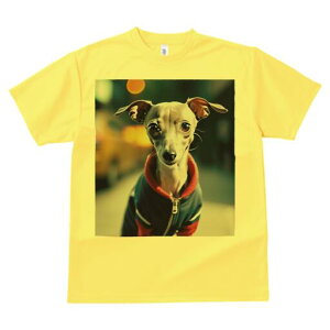 C^AO[nEh TVc fB[X t@  t  vg JWA 킢 lԗp h ̃fUC ʔ WPbg C^AO[nEh 