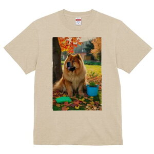 �`���E�`���E T�V���c ���f�B�[�X ���t�@�� ���� �t�� ���� �v�����g �J�W���A�� ���킢�� �l�ԗp ���h ���������̃f�U�C�� �ʔ� �H �`���E�`���E �g�t �� �A�ؔ�