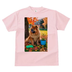 `E`E TVc fB[X t@  t  vg JWA 킢 lԗp h ̃fUC ʔ H `E`E gt  Aؔ