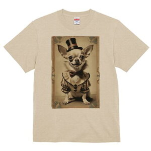 ` TVc fB[X t@  t  vg JWA 킢 lԗp h ̃fUC ʔ Xq ` lN^C T[JX