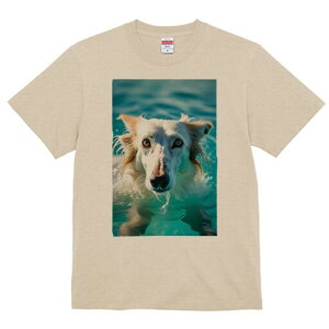 {]C TVc fB[X t@  t  vg JWA 킢 lԗp h ̃fUC ʔ  {]C C