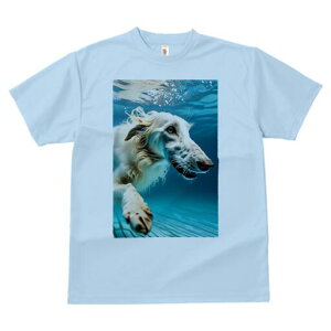 {]C TVc fB[X t@  t  vg JWA 킢 lԗp h ̃fUC ʔ  {]C 