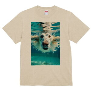 {]C TVc fB[X t@  t  vg JWA 킢 lԗp h ̃fUC ʔ  {]C v[