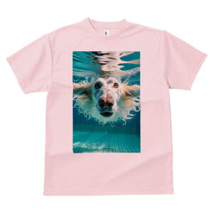 {]C TVc fB[X t@  t  vg JWA 킢 lԗp h ̃fUC ʔ  {]C v[