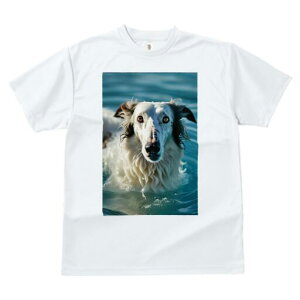 {]C TVc fB[X t@  t  vg JWA 킢 lԗp h ̃fUC ʔ  {]C C