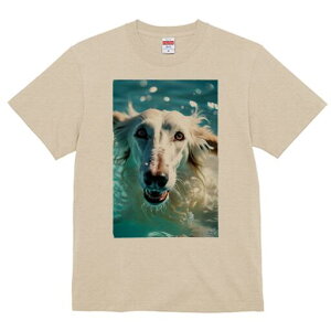 AtKnEh TVc fB[X t@  t  vg JWA 킢 lԗp h ̃fUC ʔ  AtKnEh Ԃ