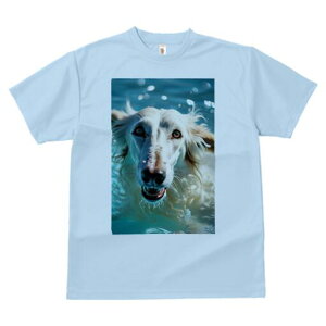 AtKnEh TVc fB[X t@  t  vg JWA 킢 lԗp h ̃fUC ʔ  AtKnEh Ԃ