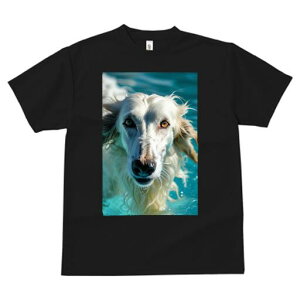 AtKnEh TVc fB[X t@  t  vg JWA 킢 lԗp h ̃fUC ʔ  AtKnEh j