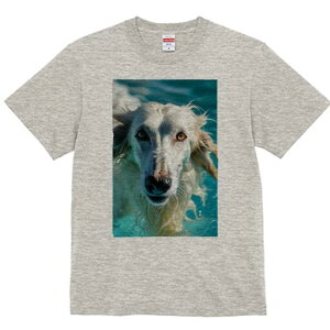 AtKnEh TVc fB[X t@  t  vg JWA 킢 lԗp h ̃fUC ʔ  AtKnEh j