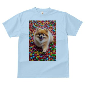 |jA TVc fB[X t@  t  vg JWA 킢 lԗp h ̃fUC ʔ [[r[Y |jA Jt XC[c َq