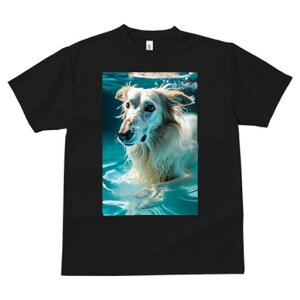 {]C TVc fB[X t@  t  vg JWA 킢 lԗp h ̃fUC ʔ  {]C 