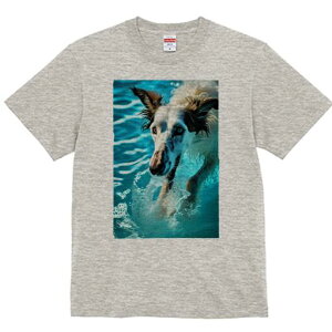 {]C TVc fB[X t@  t  vg JWA 킢 lԗp h ̃fUC ʔ  {]C Ԃ