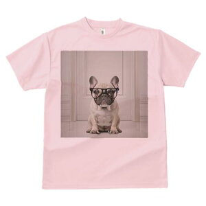 t`uhbO TVc fB[X t@  t  vg JWA 킢 lԗp h ̃fUC ʔ Kl t`uhbO