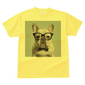 t`uhbO TVc fB[X t@  t  vg JWA 킢 lԗp h ̃fUC ʔ Kl t`uhbO lN^C