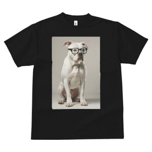 AJuhbO TVc Y LbY t@  t  vg JWA 킢 lԗp h ̃fUC ʔ Kl AJuhbO