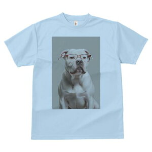 AJuhbO TVc fB[X t@  t  vg JWA 킢 lԗp h ̃fUC ʔ Kl AJuhbO