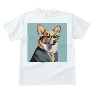 R[M[ TVc Y LbY t@  t  vg JWA 킢 lԗp h ̃fUC ʔ X[c R[M[ lN^C Kl