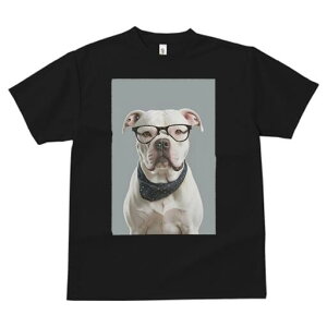 AJuhbO TVc Y LbY t@  t  vg JWA 킢 lԗp h ̃fUC ʔ Kl AJuhbO o_i