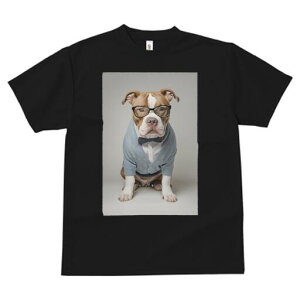 AJsbgueA TVc Y LbY t@  t  vg JWA 킢 lԗp h ̃fUC ʔ Kl AJsbgueA 