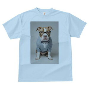 AJsbgueA TVc Y LbY t@  t  vg JWA 킢 lԗp h ̃fUC ʔ Kl AJsbgueA 