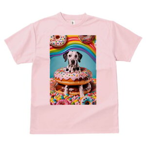 _VA TVc fB[X t@  t  vg JWA 킢 lԗp h ̃fUC ʔ h[ic _VA XC[c LfB Jt