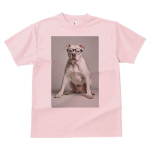 AJuhbO TVc fB[X t@  t  vg JWA 킢 lԗp h ̃fUC ʔ Kl AJuhbO