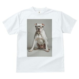 AJuhbO TVc fB[X t@  t  vg JWA 킢 lԗp h ̃fUC ʔ Kl AJuhbO