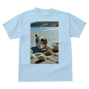 |jA TVc fB[X t@  t  vg JWA 킢 lԗp h ̃fUC ʔ r[` |jA C  Lk