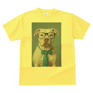 AJsbgueA TVc fB[X t@  t  vg JWA 킢 lԗp h ̃fUC ʔ Kl AJsbgueA lN