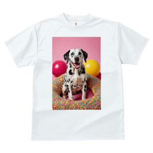 _VA TVc fB[X t@  t  vg JWA 킢 lԗp h ̃fUC ʔ h[ic _VA XvN sNF̔wi F