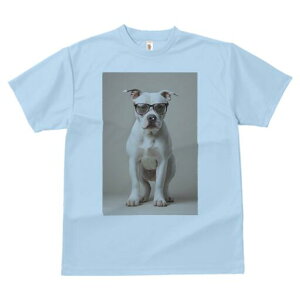 AJuhbO TVc fB[X t@  t  vg JWA 킢 lԗp h ̃fUC ʔ Kl AJuhbO