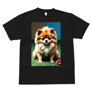 _VA TVc fB[X t@  t  vg JWA 킢 lԗp h ̃fUC ʔ h[ic _VA XC[c Jt َq