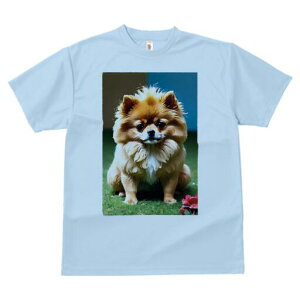 _VA TVc fB[X t@  t  vg JWA 킢 lԗp h ̃fUC ʔ h[ic _VA XC[c Jt َq