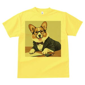 R[M[ TVc fB[X t@  t  vg JWA 킢 lԗp h ̃fUC ʔ X[c R[M[ ዾ lN^C 