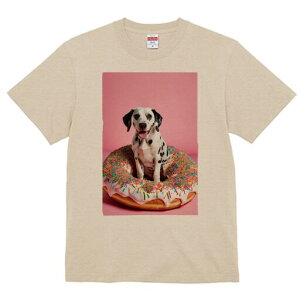 _VA TVc fB[X t@  t  vg JWA 킢 lԗp h ̃fUC ʔ h[ic _VA XvN XC[c fU[g