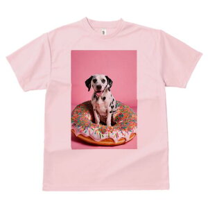 _VA TVc fB[X t@  t  vg JWA 킢 lԗp h ̃fUC ʔ h[ic _VA XvN XC[c fU[g