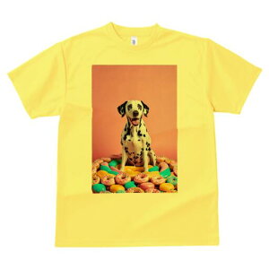 �_�����V�A�� T�V���c ���f�B�[�X ���t�@�� ���� �t�� ���� �v�����g �J�W���A�� ���킢�� �l�ԗp ���h ���������̃f�U�C�� �ʔ� �h�[�i�c �_�����V�A�� �X�C�[�c �s���N